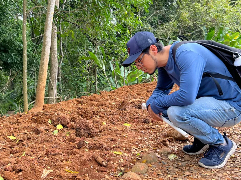 Tesos por el Ambiente: formando líderes ambientales desde experiencias vivenciales