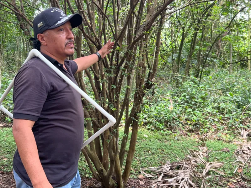 Tesos por el Ambiente: formando líderes ambientales desde experiencias vivenciales