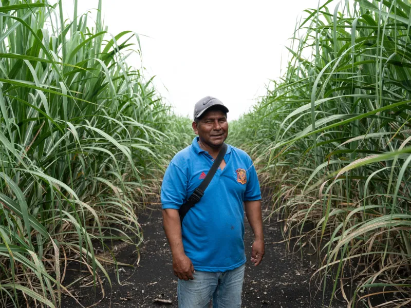 Autonomía económica