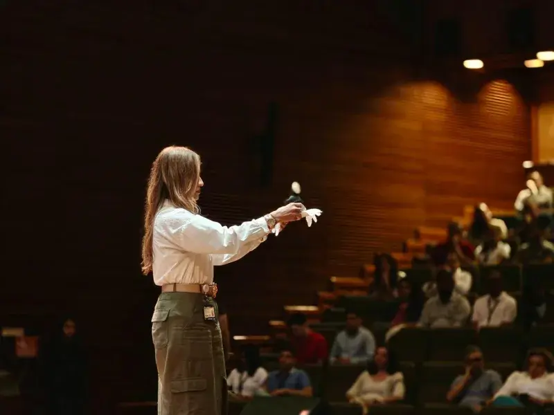 Día de San Francisco Javier